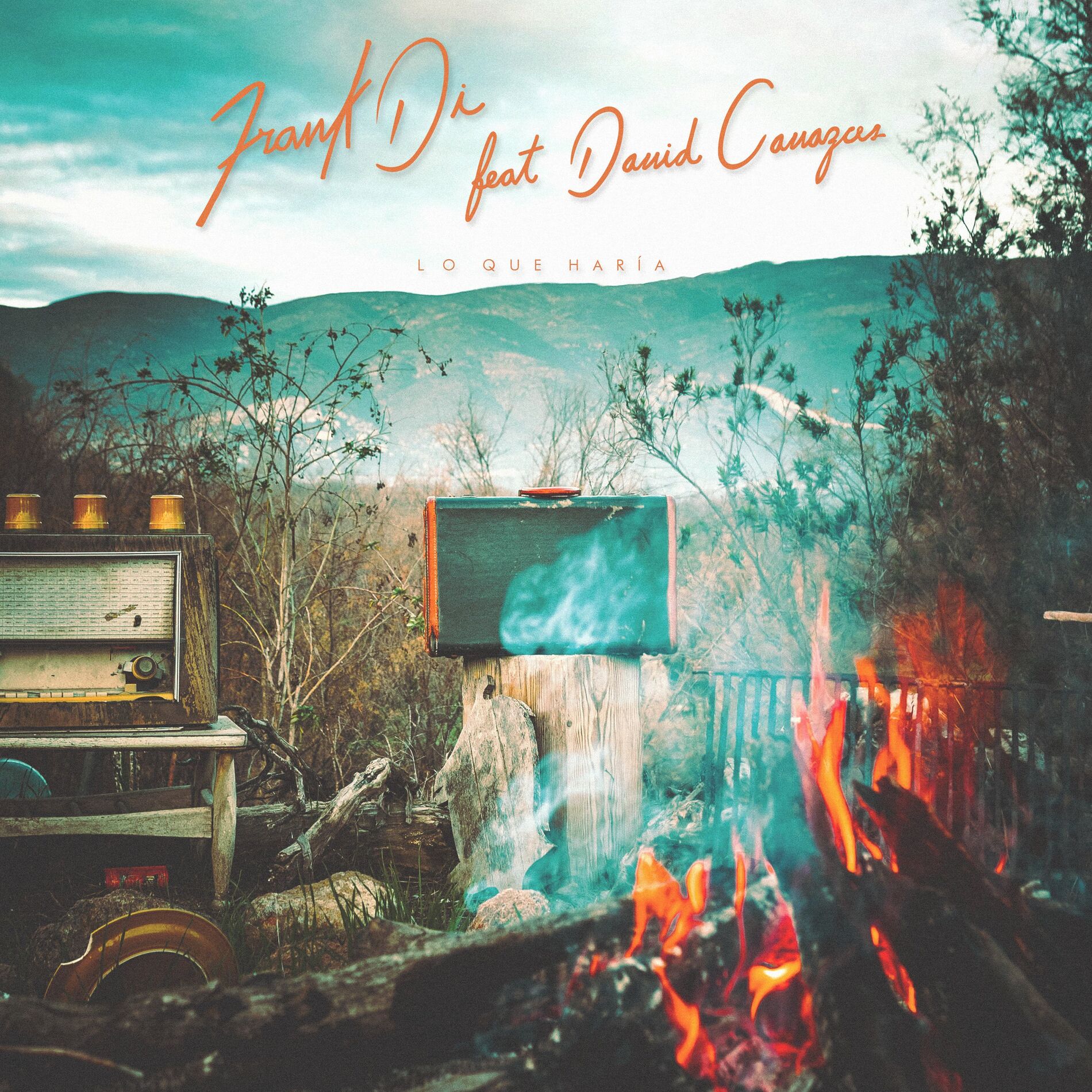 Album cover of Lo Que Haría