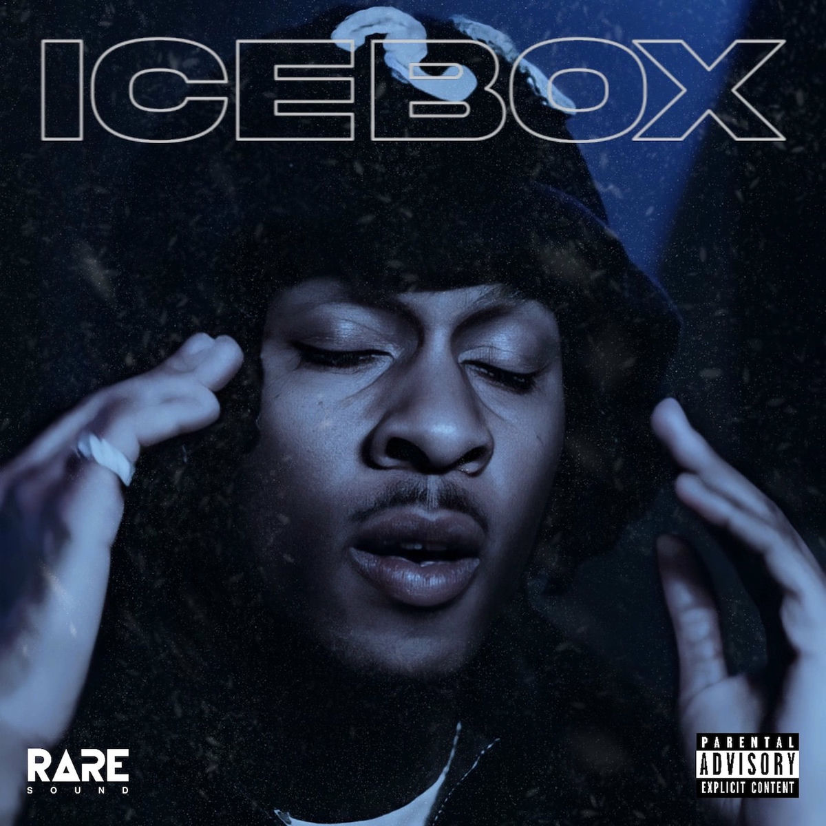 Album cover of Icebox