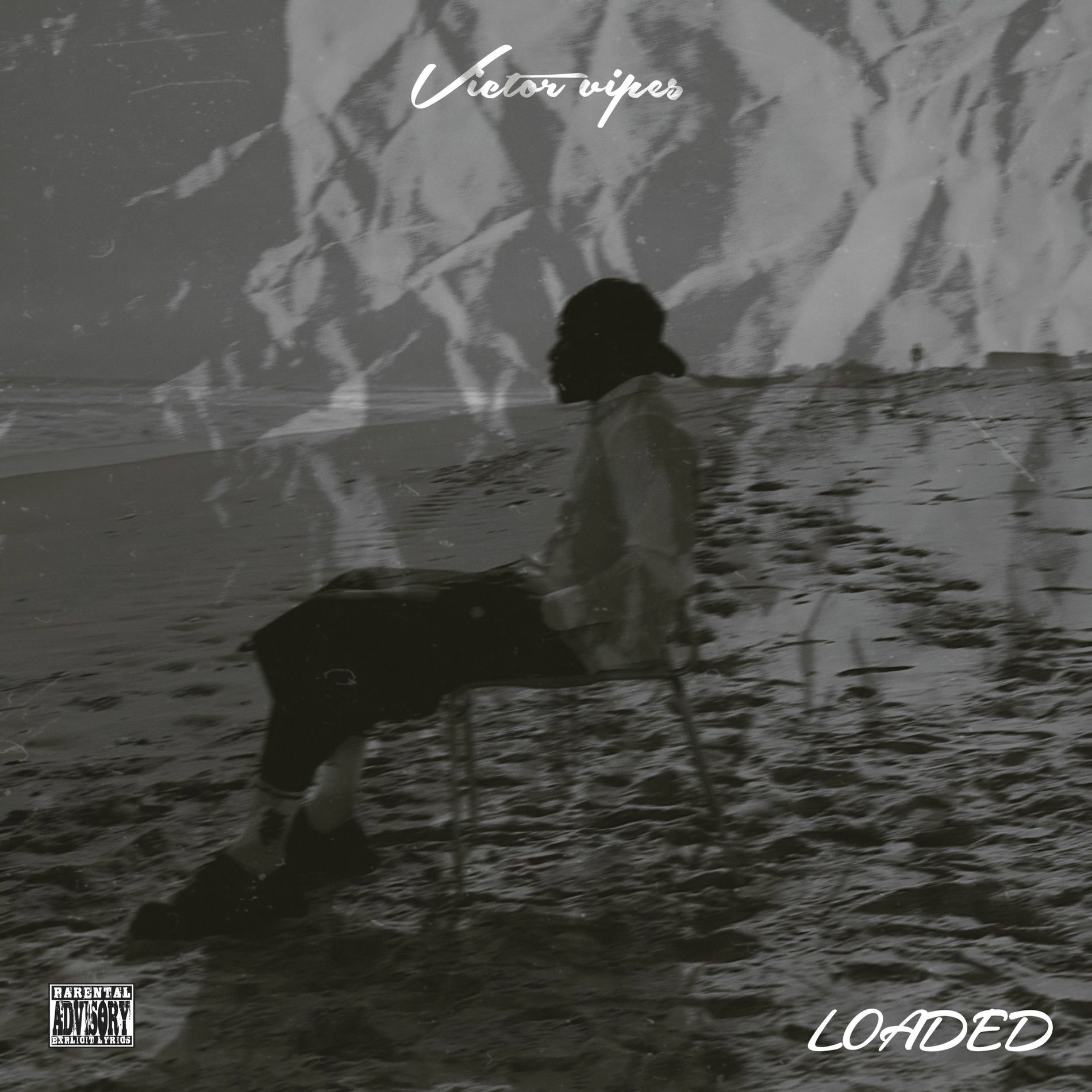 Album cover of Loaded