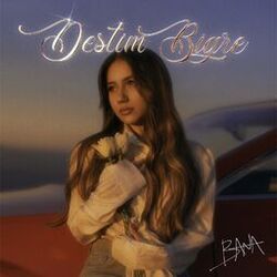 Cover of Destim Bigre