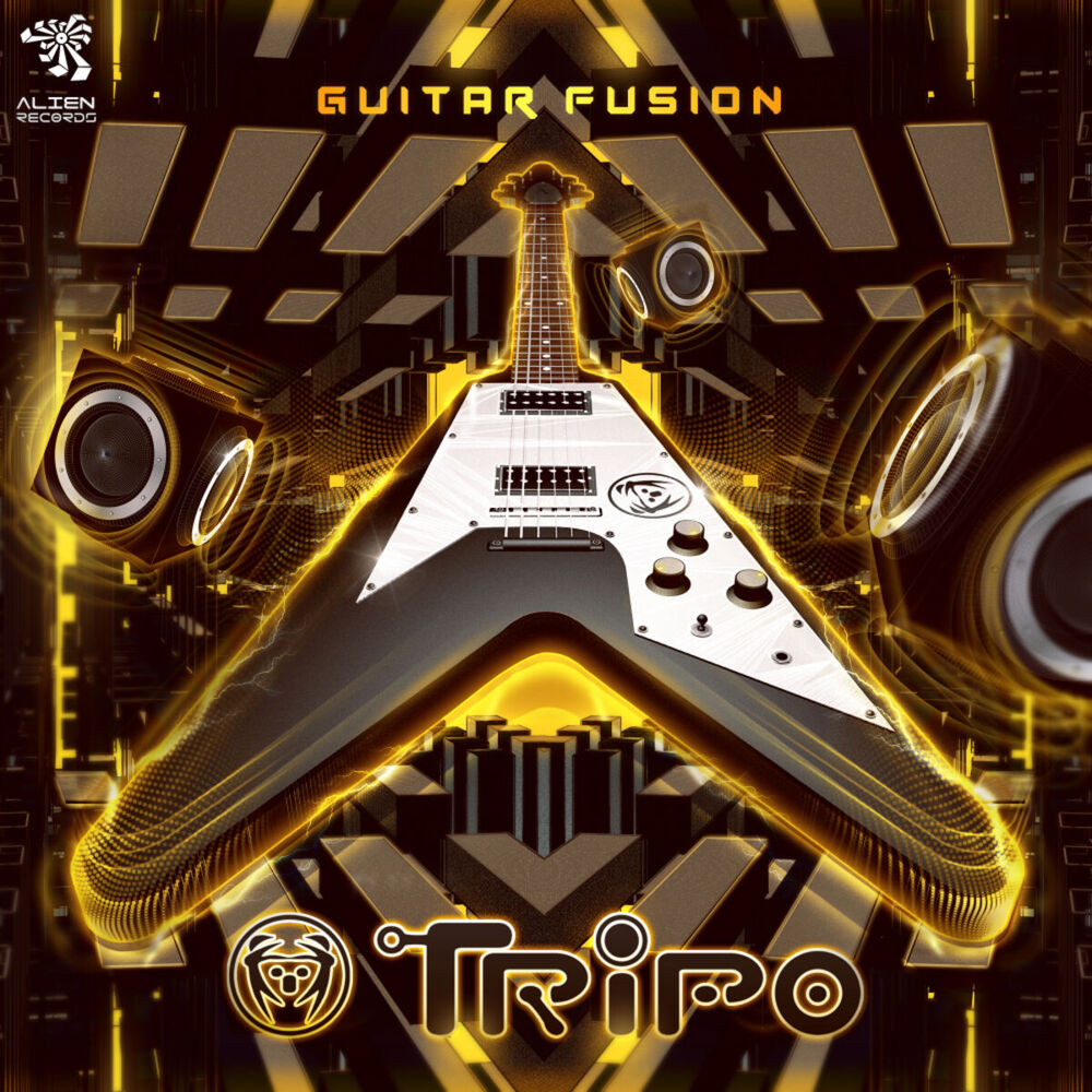 Picture of Guitar Fusion