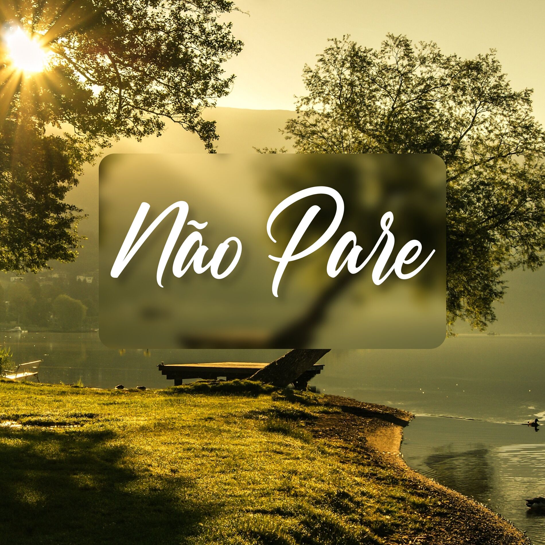 Album cover of Não Pare
