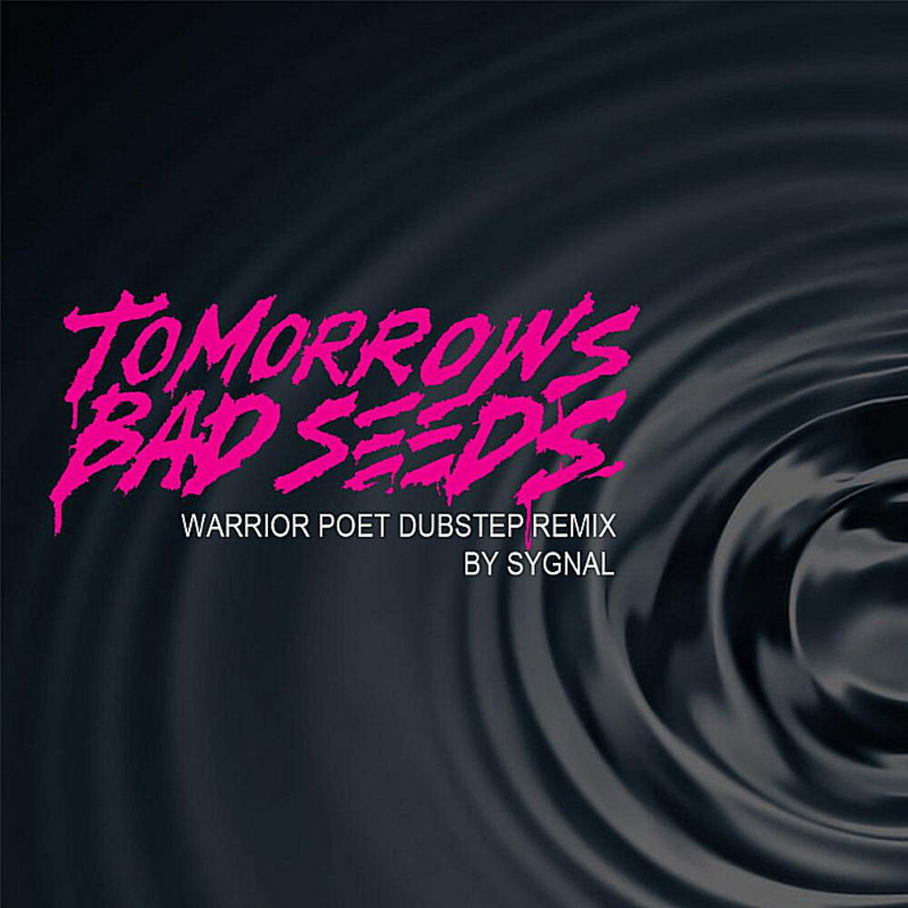 Picture of Warrior Poet DubStep (Remix)