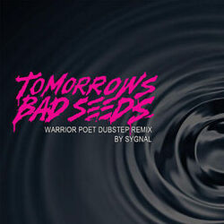 Cover of Warrior Poet DubStep (Remix)