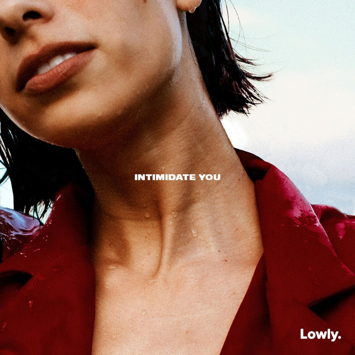 Album cover of Intimidate You