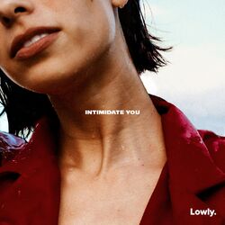 Cover of Intimidate You