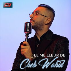 Cover of Le Meilleur