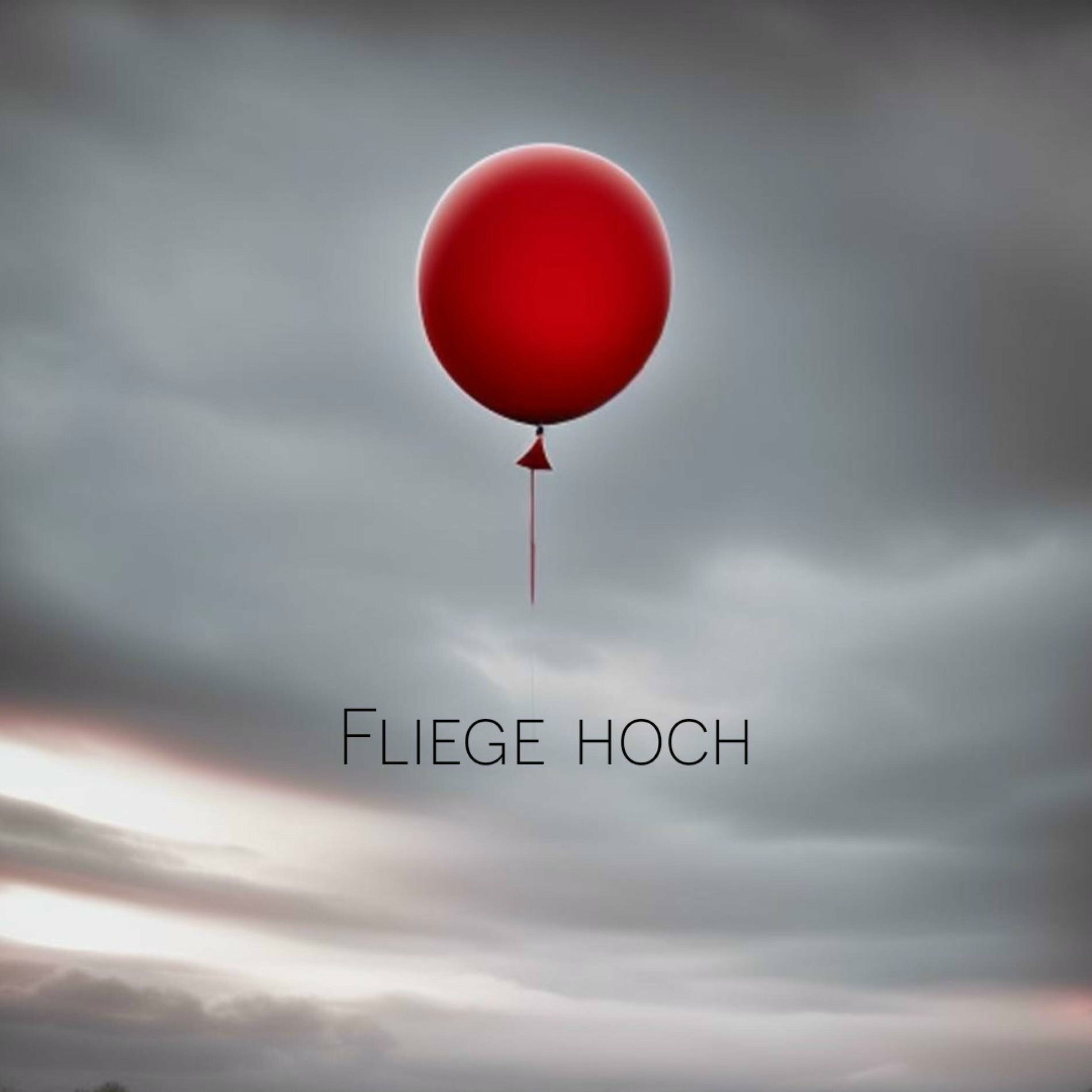 Album cover of Fliege hoch (feat. HellTekk.offiziell)