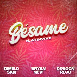 Cover of Bésame #LatinVive