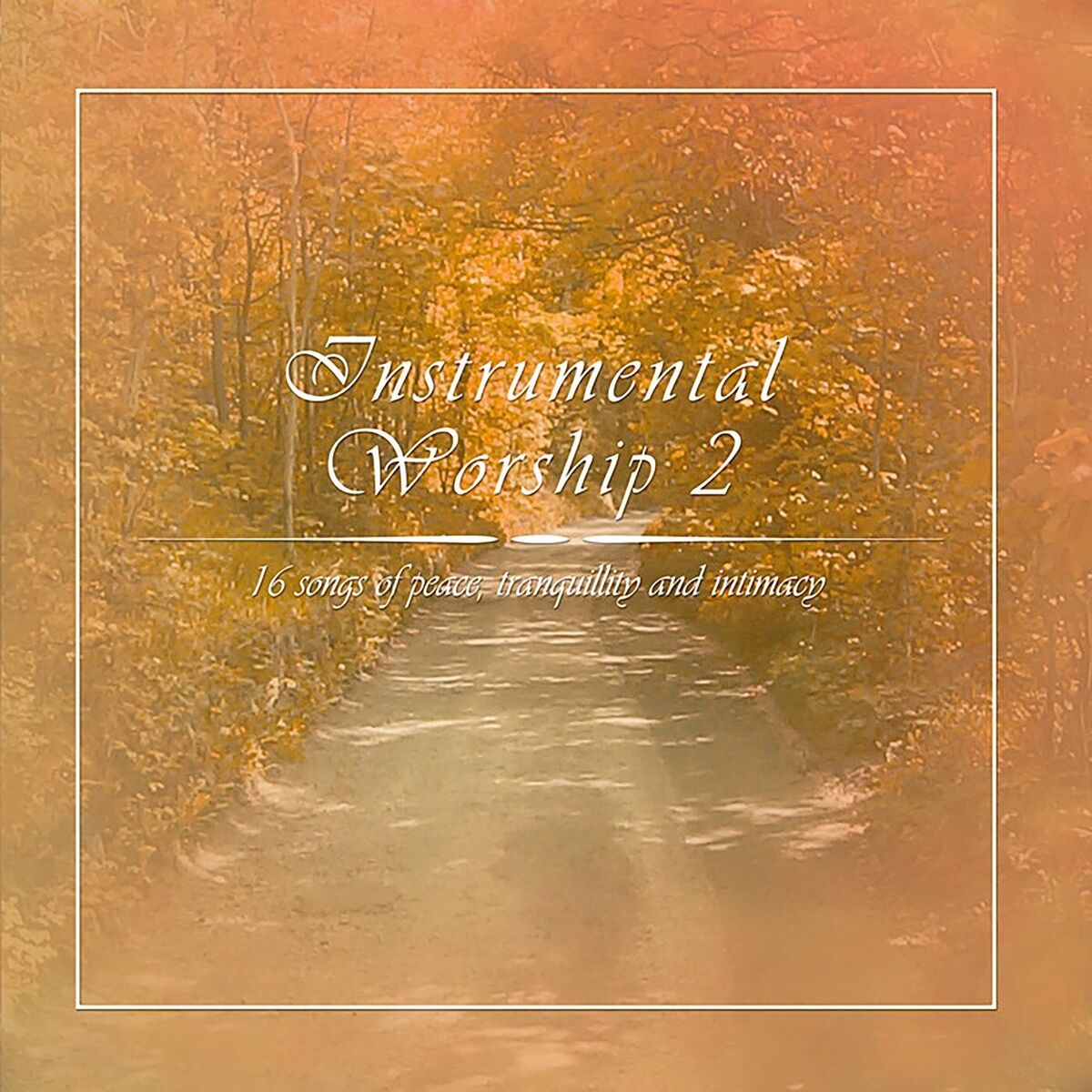 Album cover of Instrumental Worship, Vol. 2