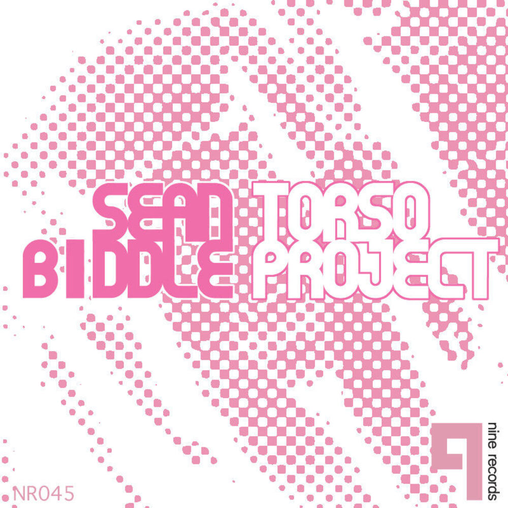 Picture of Torso Project