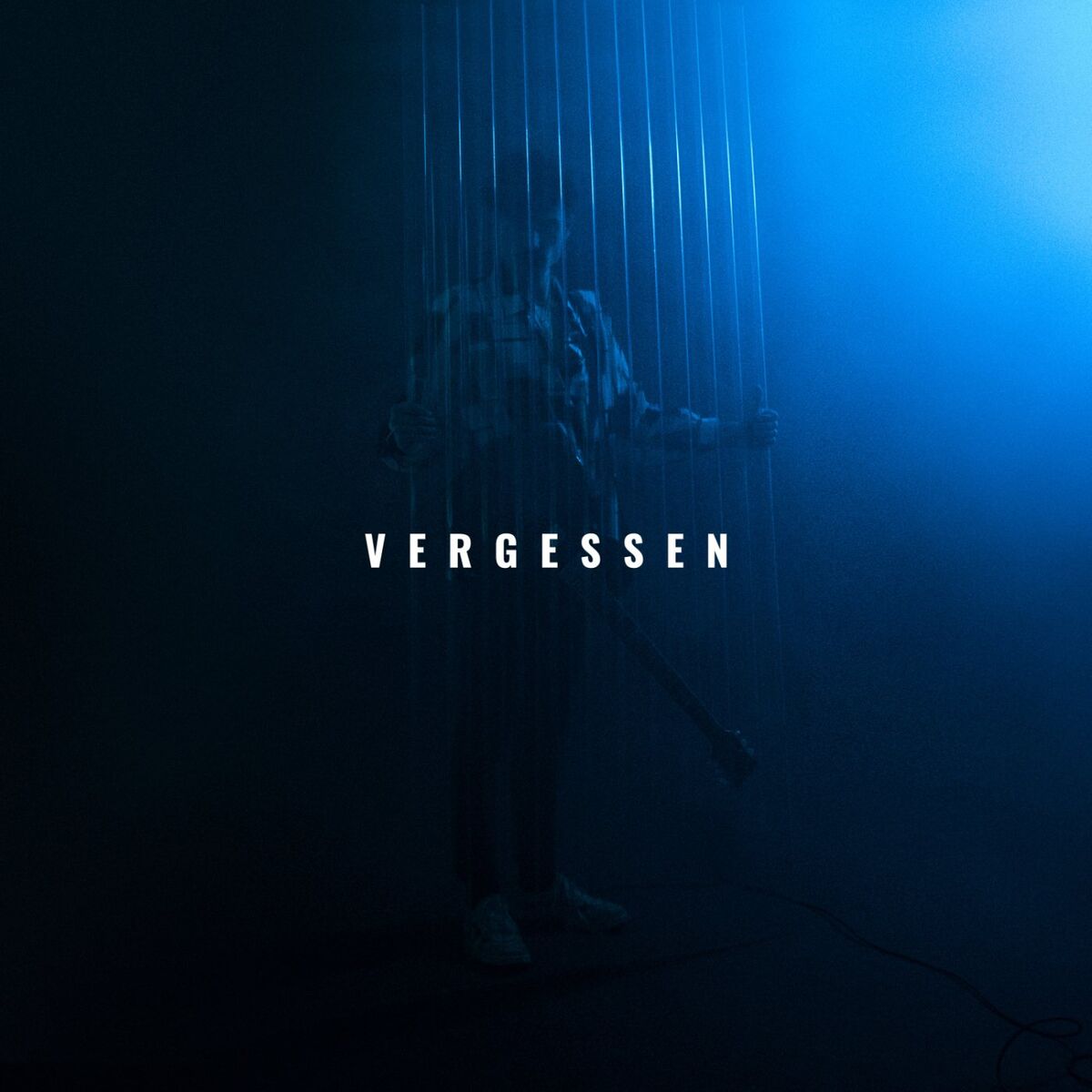 Album cover of Vergessen