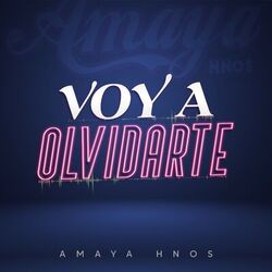 Cover of Voy a Olvidarte