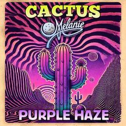 Cover of Purple Haze