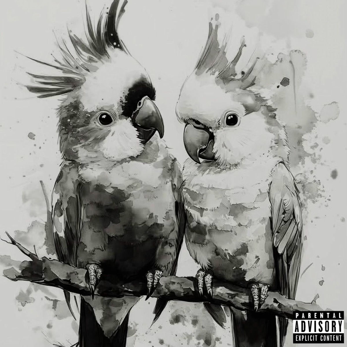 Album cover of Parrots