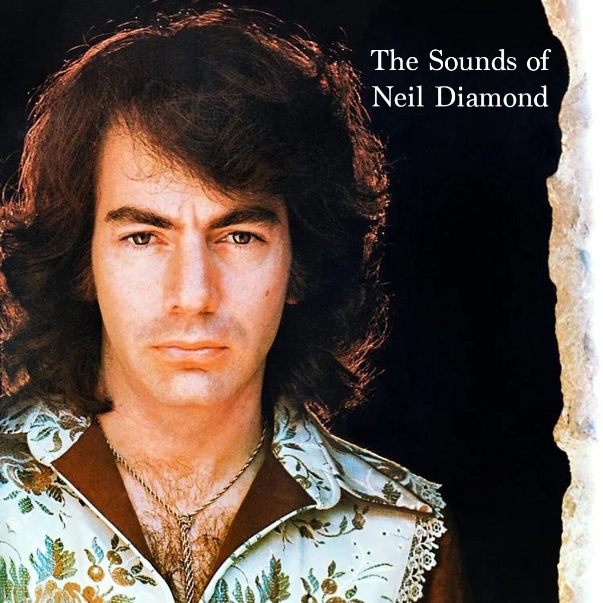 Album cover of The Sounds of Neil Diamond