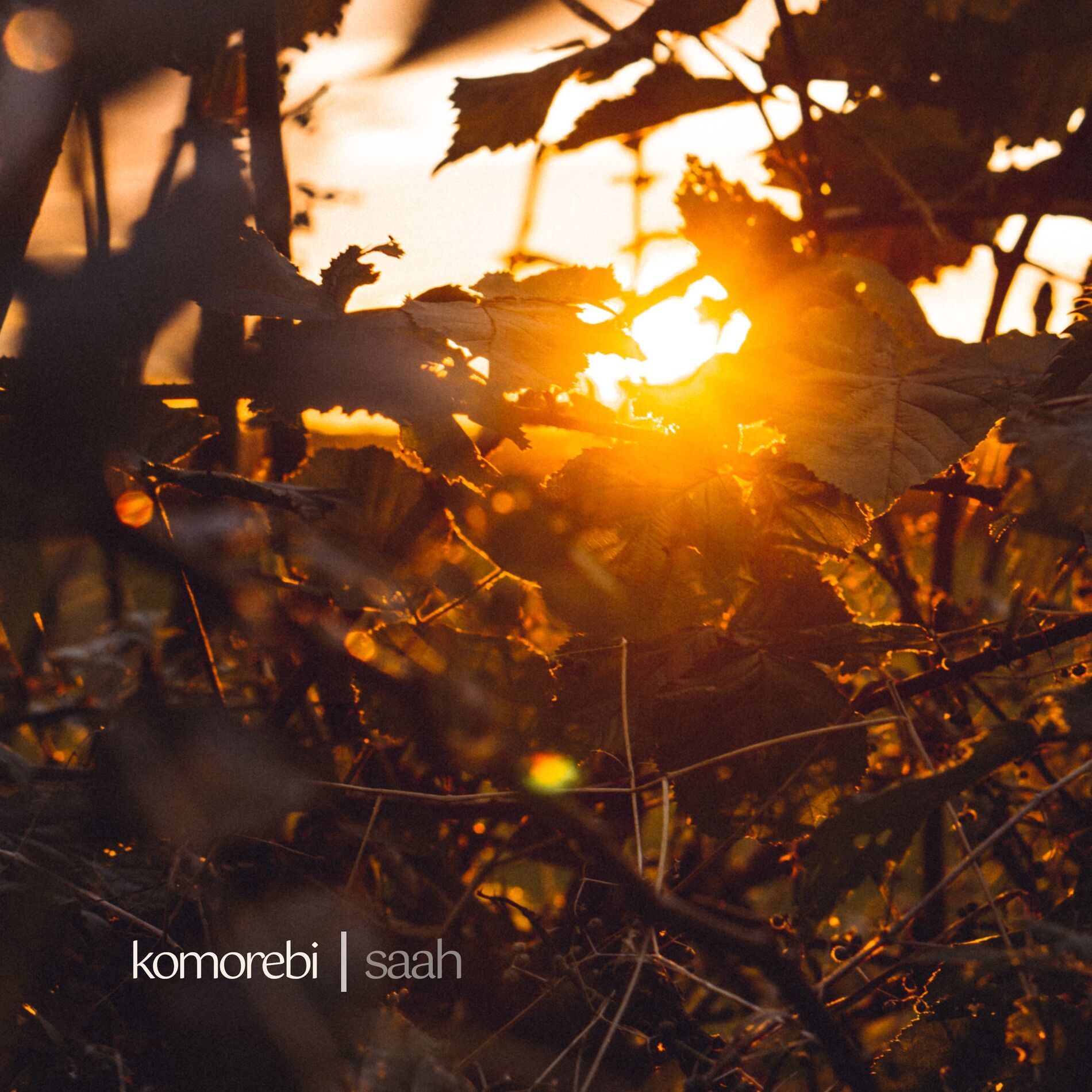 Album cover of Komorebi