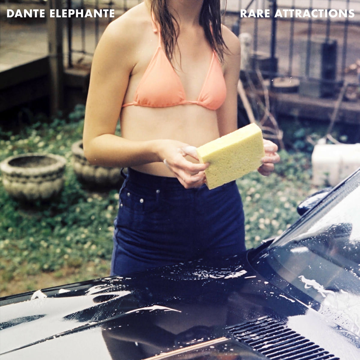 Dante Elephante - Rare Attractions | Deezer