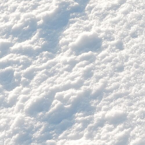 Leon – 1225 – Single