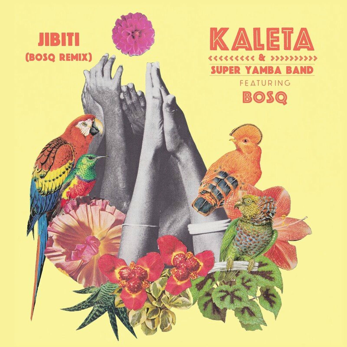Album cover of Jibiti