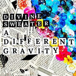 Cover of A Different Gravity