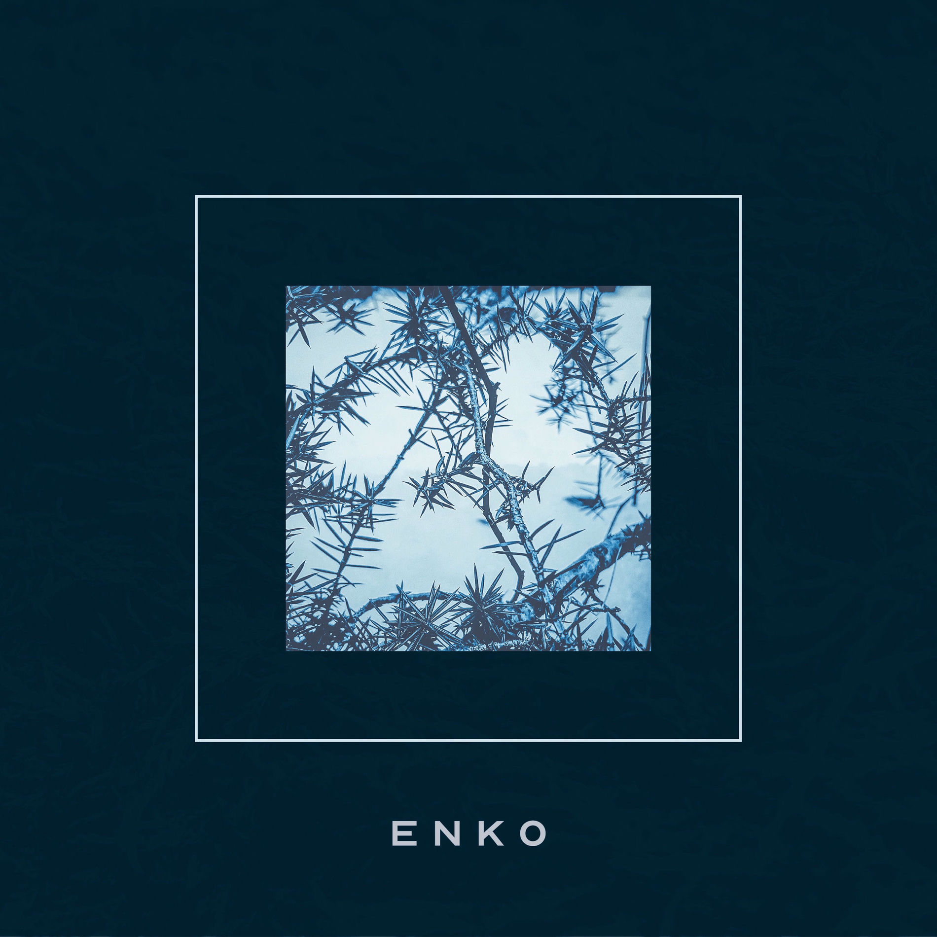 Album cover of Codon