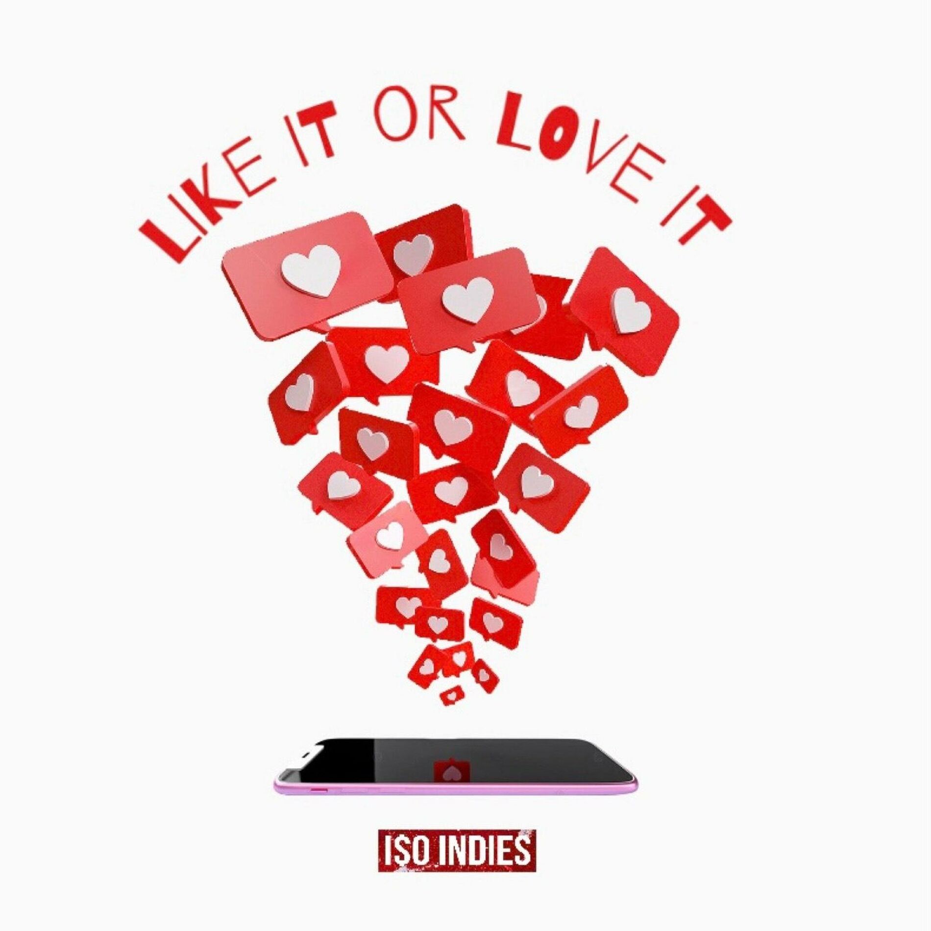 Album cover of Like It or Love It