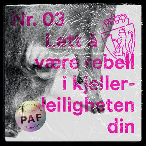 Lett å være rebell i Kjellerleiligheten din sleeve