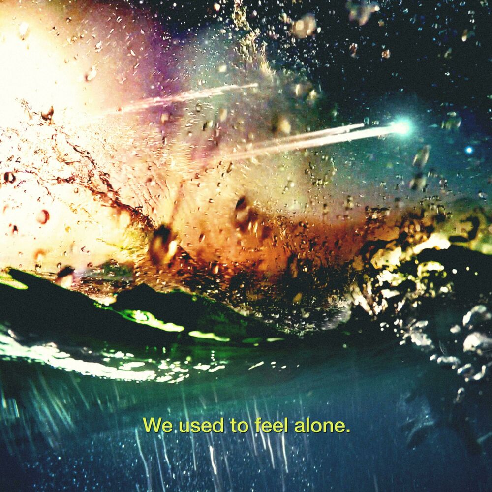 Picture of We Used to Feel Alone