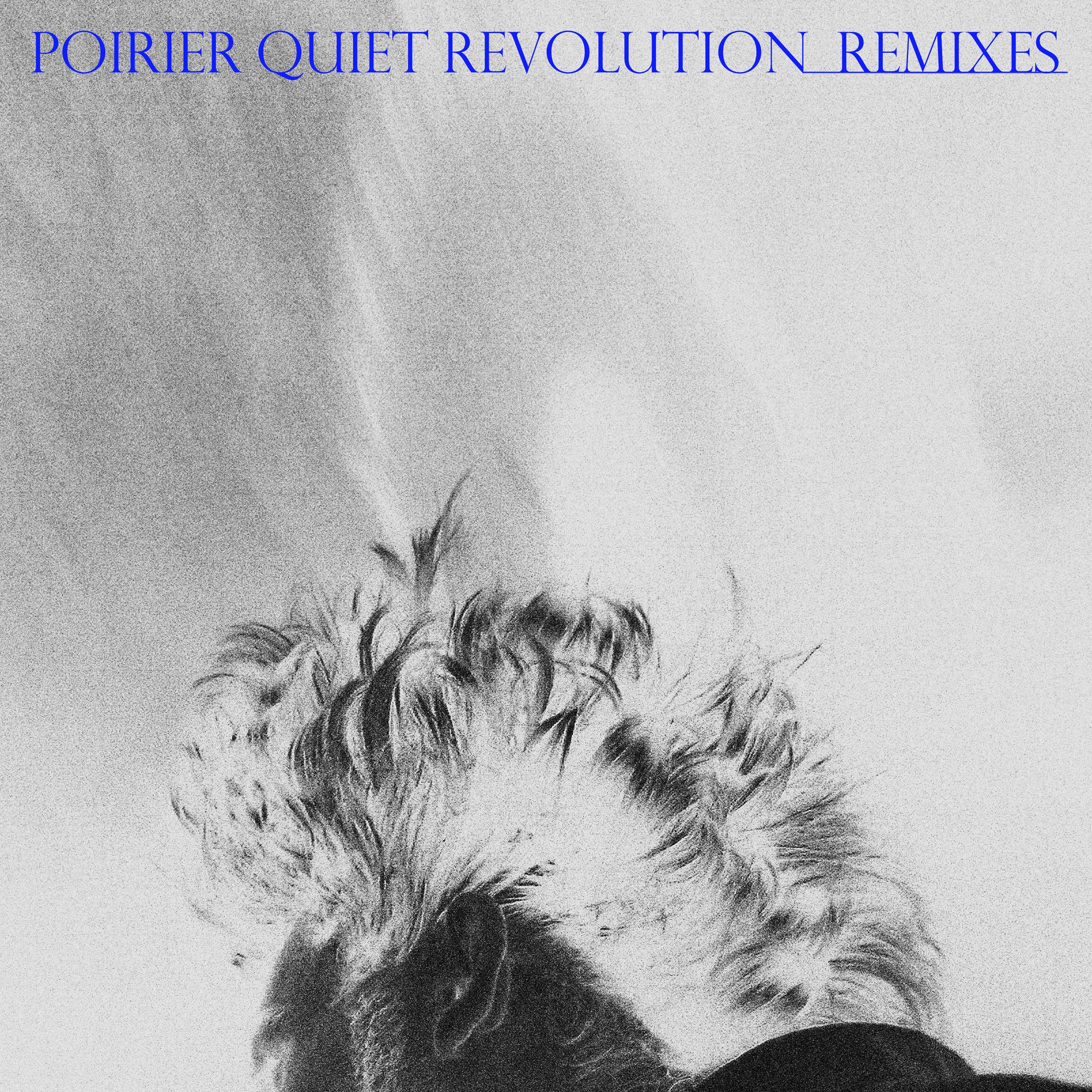 Album cover of Quiet Revolution Remixes