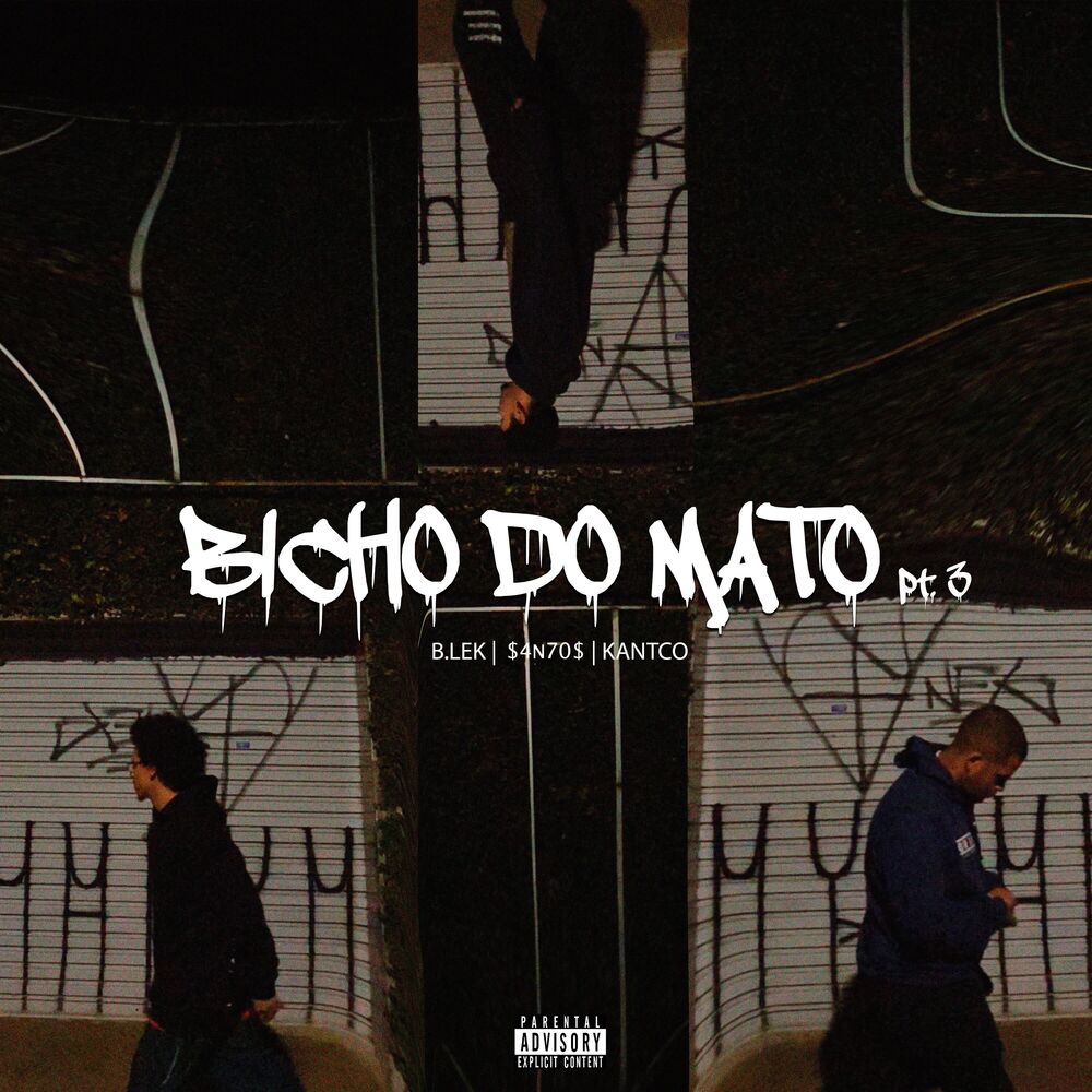 Picture of Bicho do Mato, Pt. 3