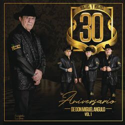 Cover of 30 Aniversario De Don Miguel Angulo (Vol. 1)