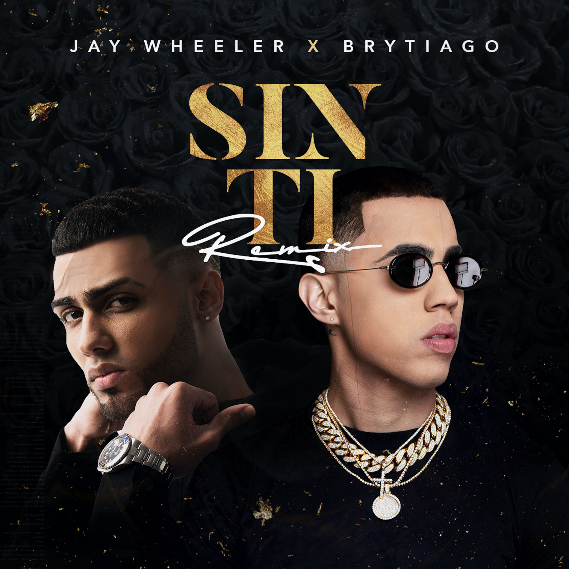 Album cover of Sin Ti