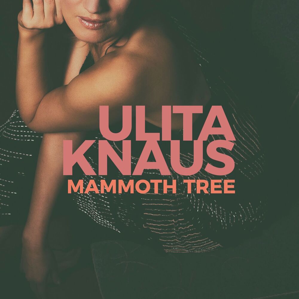 Picture of Mammoth Tree