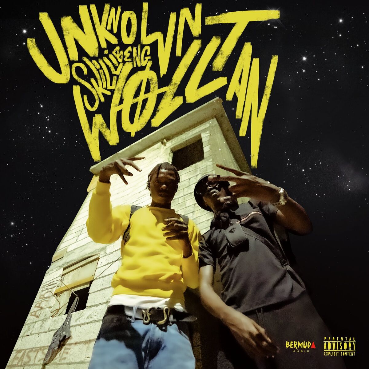 Album cover of Wollan