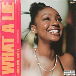 Cover of What A Lie