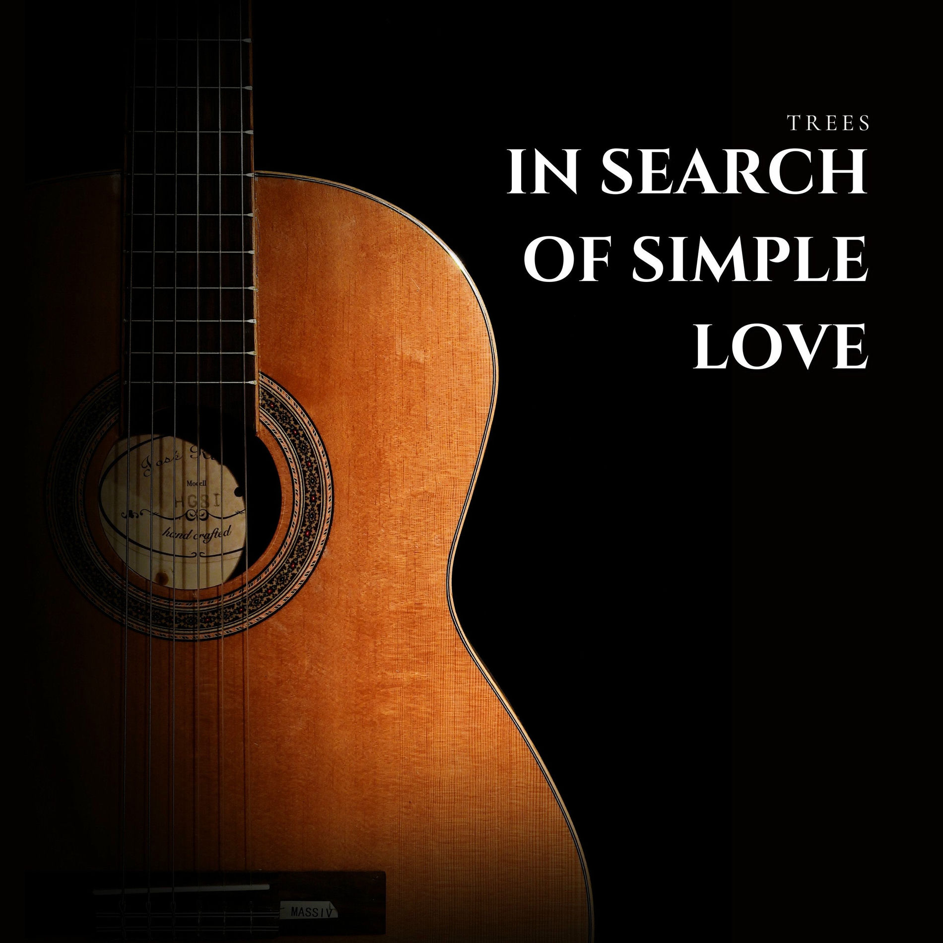 Album cover of In Search of Simple Love