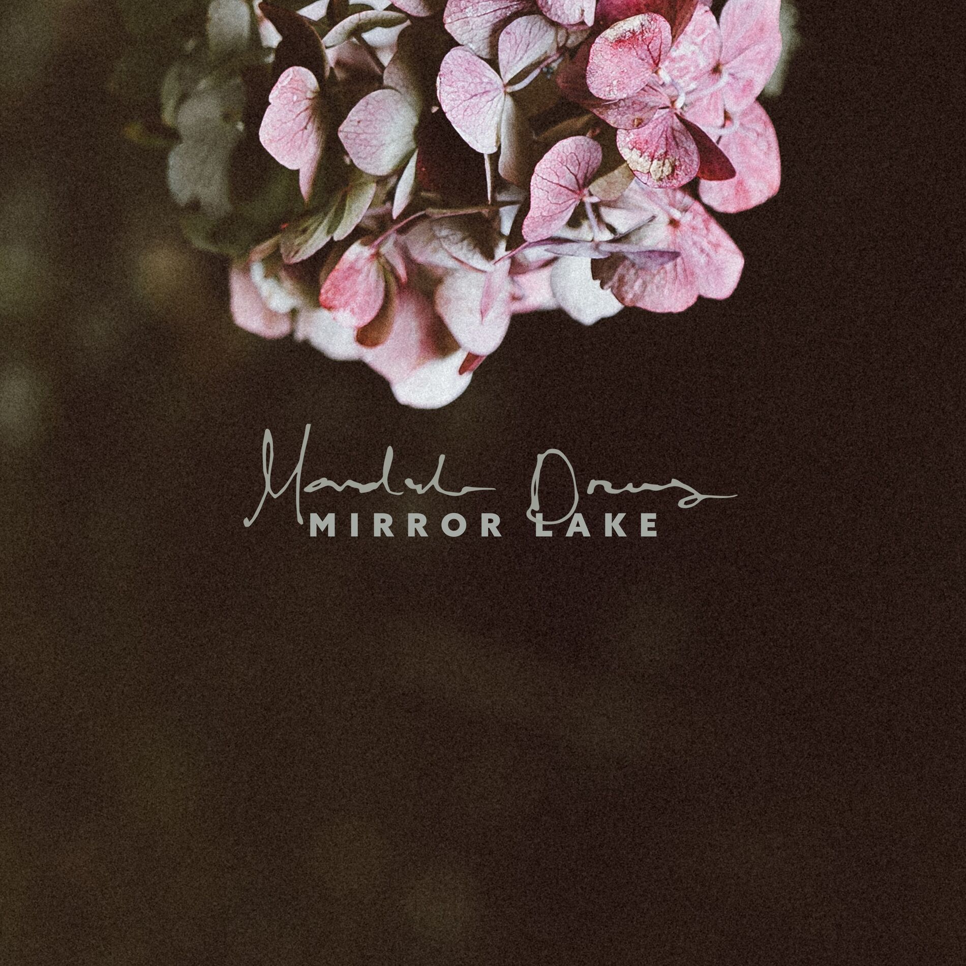 Album cover of Mirror Lake