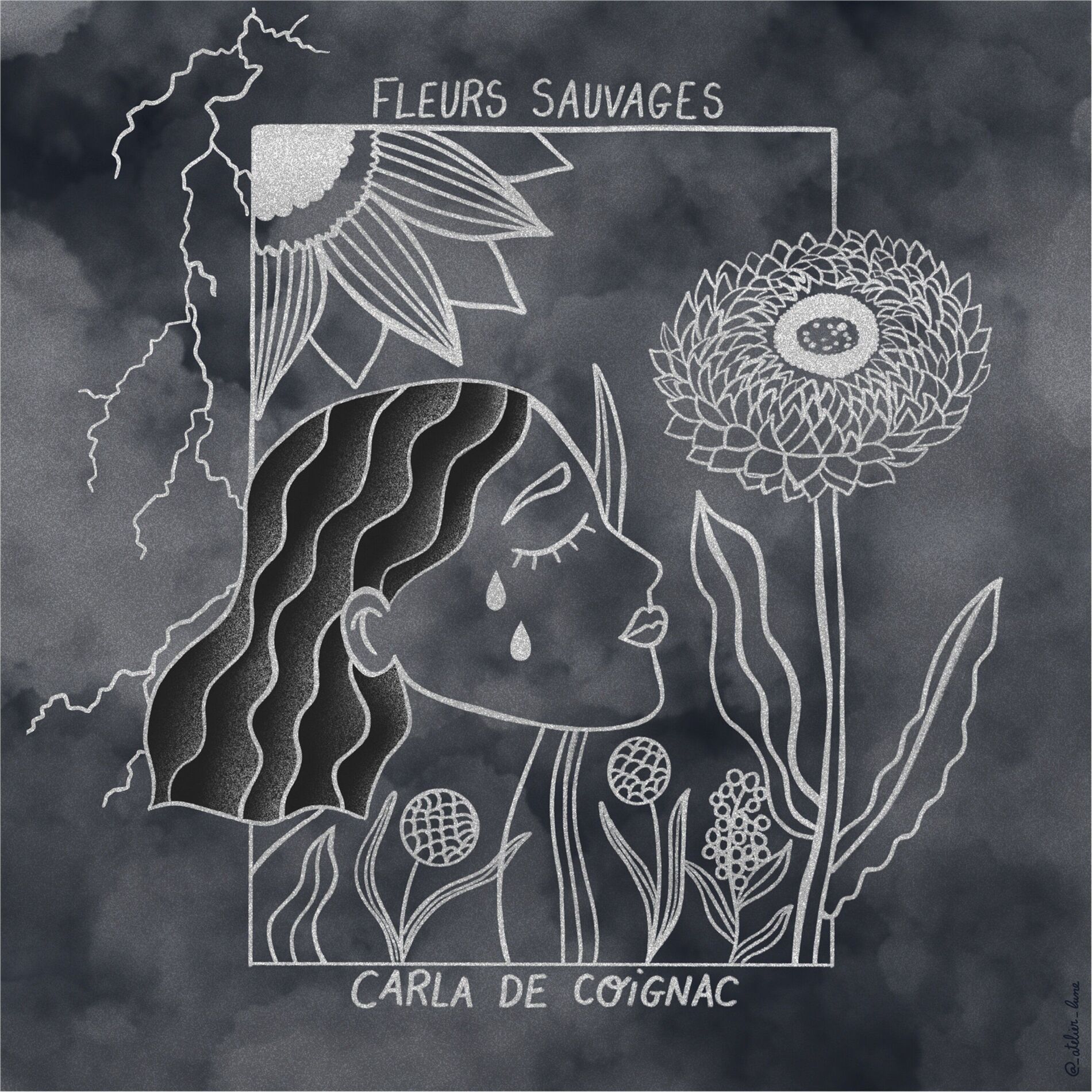 Album cover of Fleurs sauvages