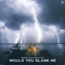 Cover of Would You Blame Me