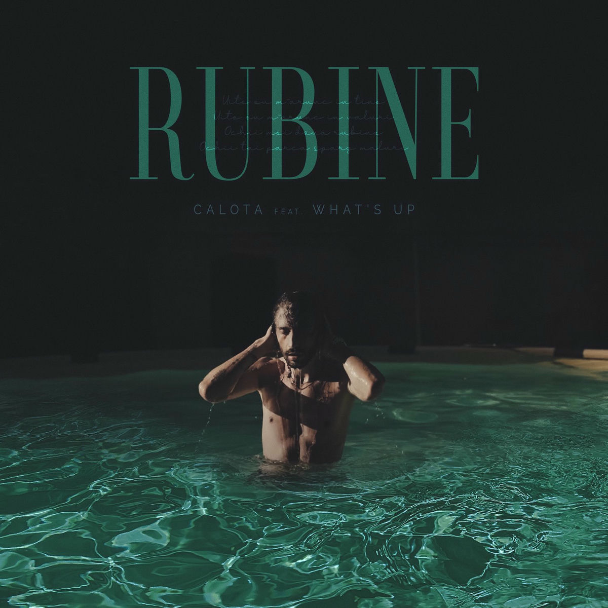 Album cover of Rubine
