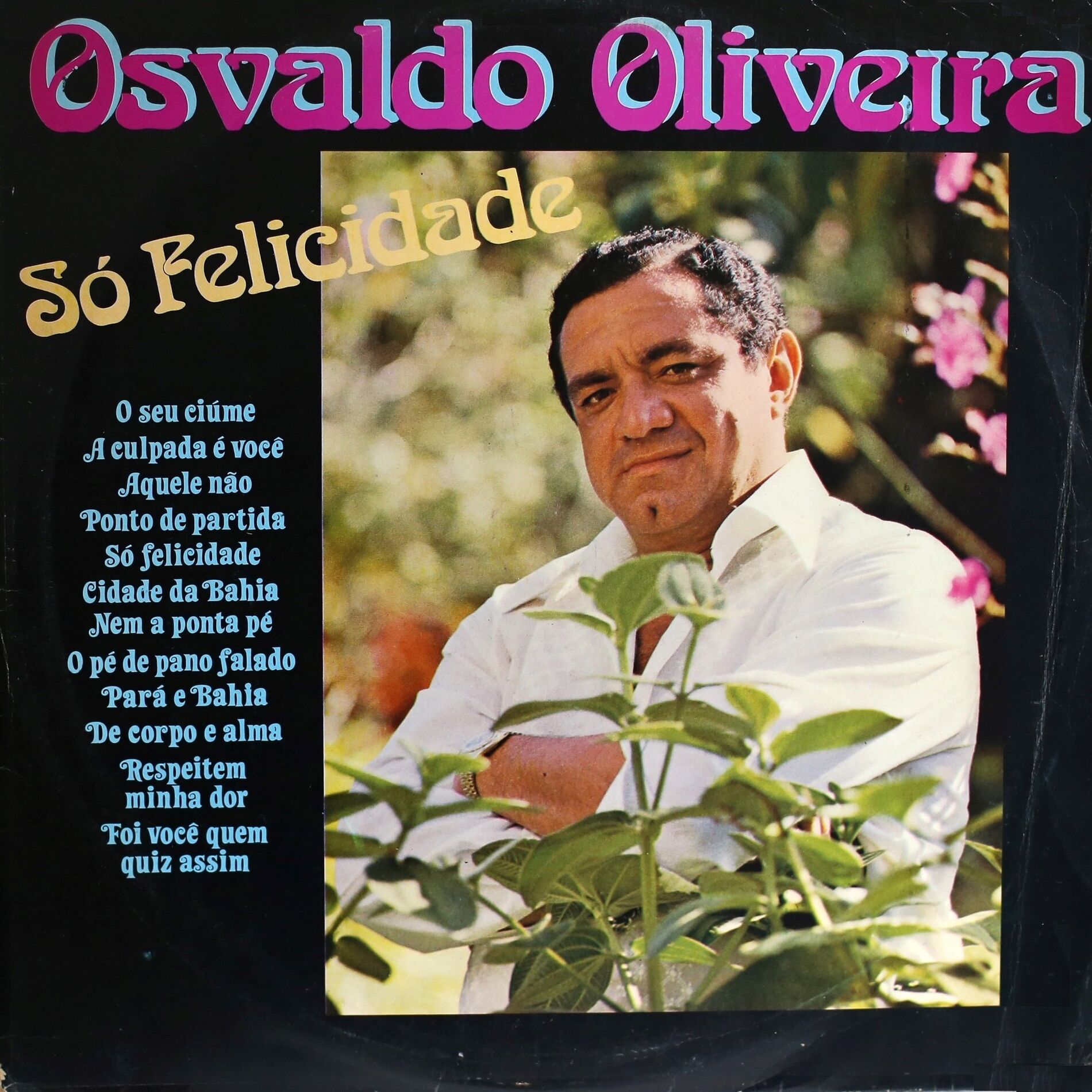 Album cover of Só Felicidade