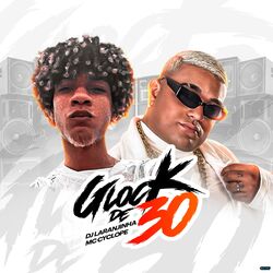 Cover of Glock de 30