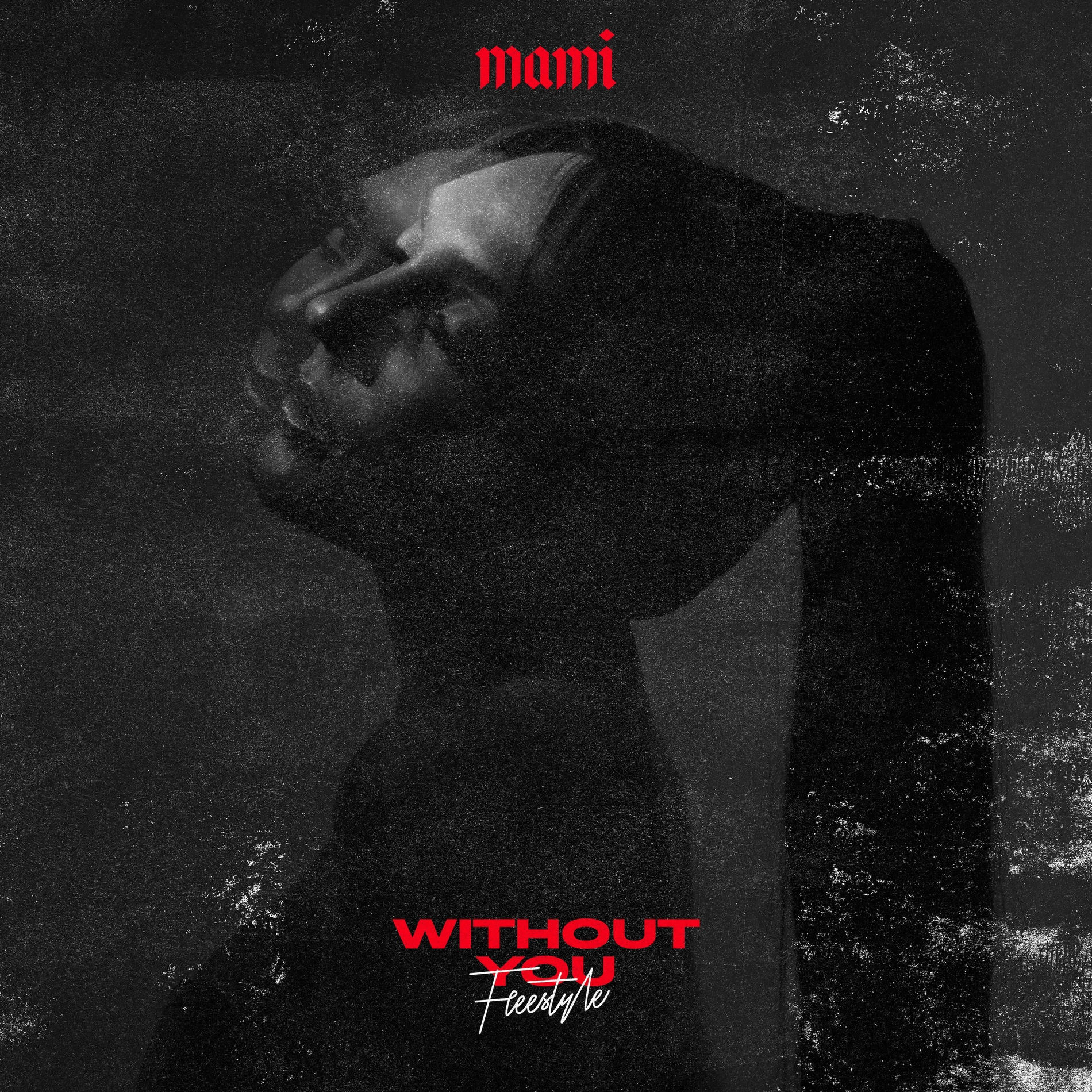 Album cover of Without You Freestyle
