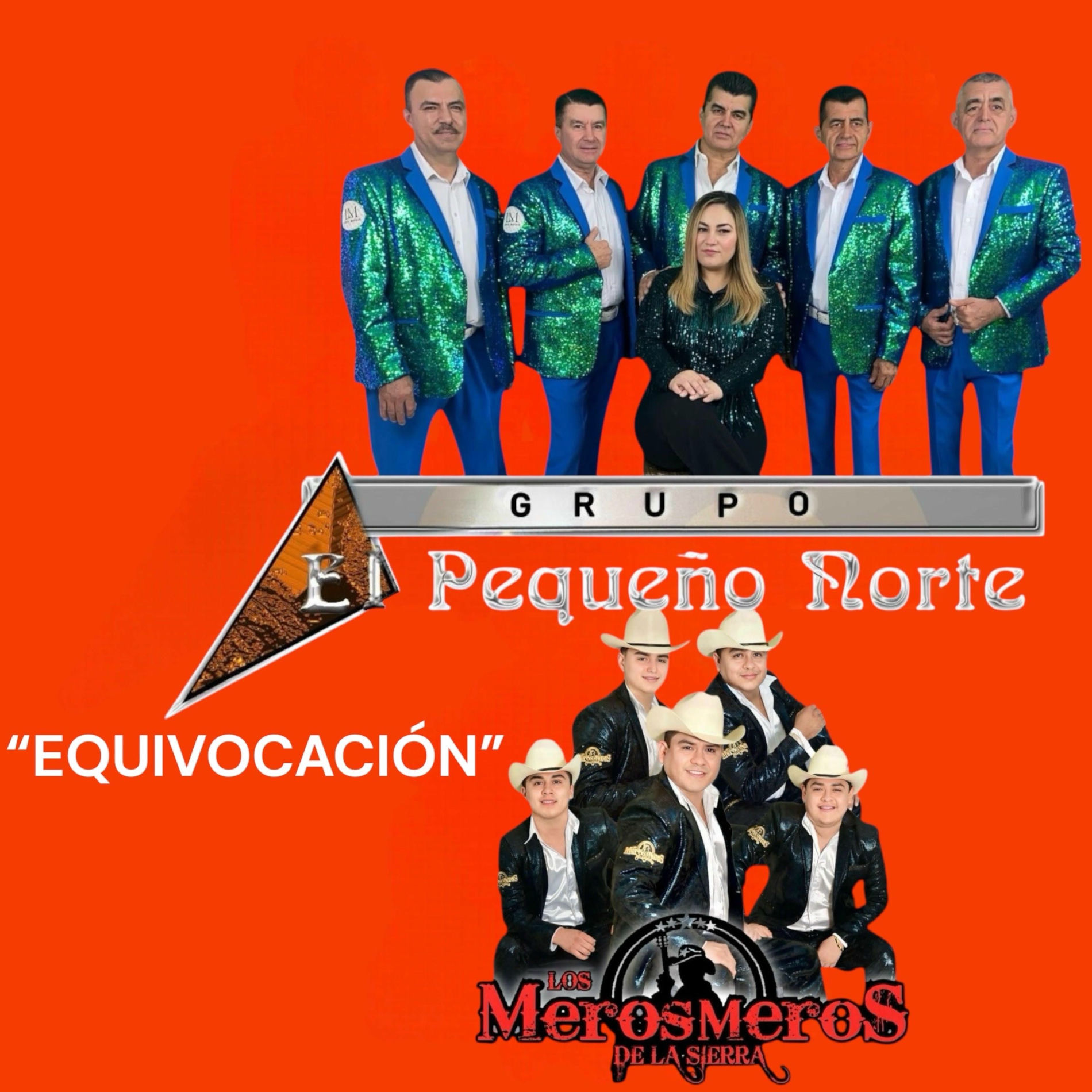 Album cover of Equivocación