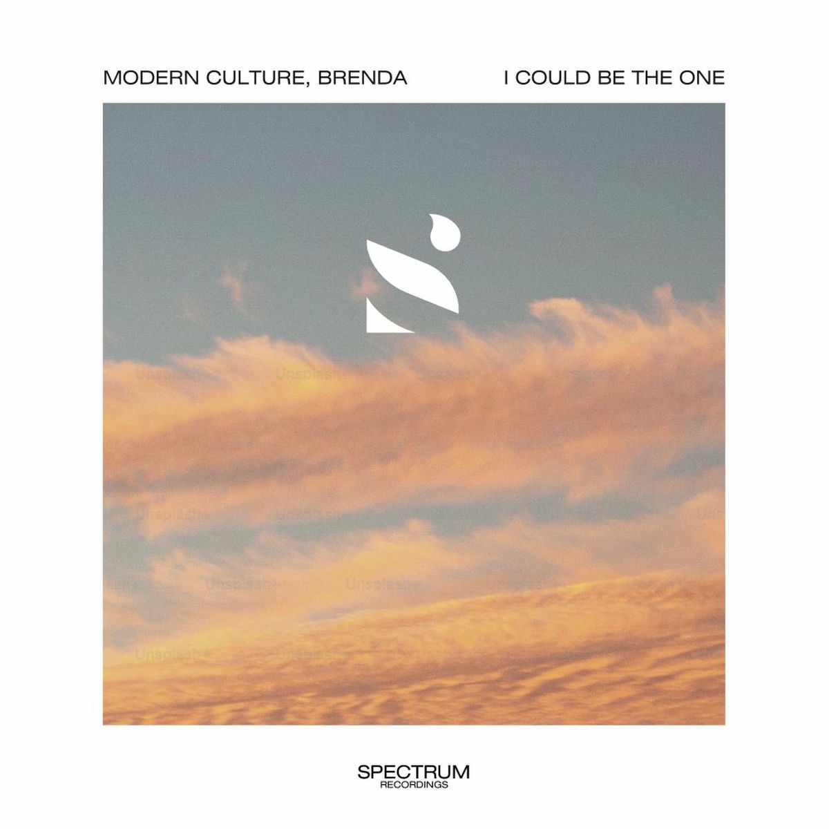 Album cover of I Could Be The One