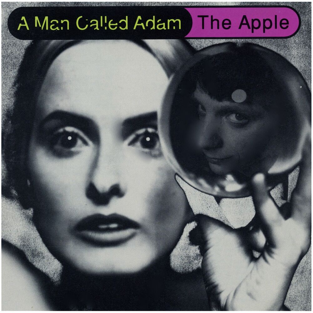 Picture of The Apple