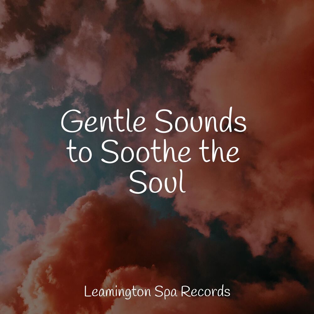 Picture of Gentle Sounds to Soothe the Soul