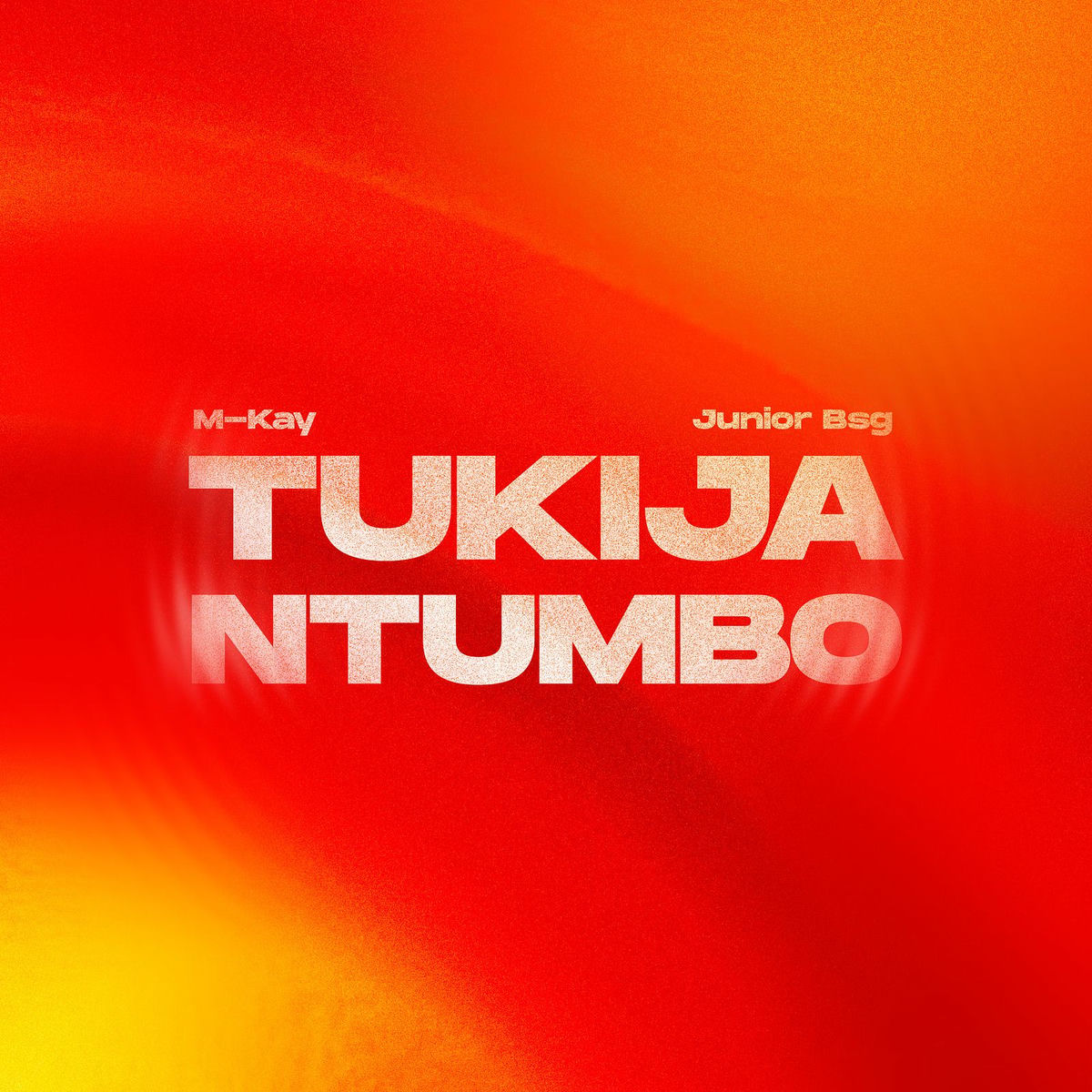 Album cover of Tukija Ntumbo