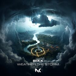 Cover of Weather the Storm
